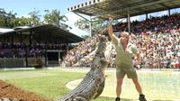 The Crocodile Hunter's Australia Zoo Admission and Transfer Combo from the Gold Coast