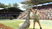 The Crocodile Hunter's Australia Zoo Transfer from the Gold Coast image 1 The Crocodile Hunter's Australia Zoo Transfer from the Gold Coast image 1