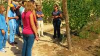 Wine tour and Wine Tasting in a Vinho Verde Estate