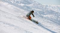 Demo Ski Package Location Snowbasin et Powder Mountain
