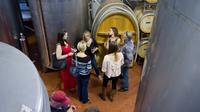 Wine Production Tour with Tasting
