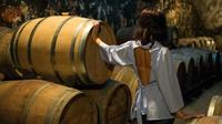 Wine Tour - Explore the Cretan Wines And Spirits