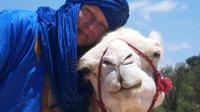 Camel Ride on the Beach of Essaouria