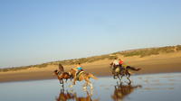 Horse Ride on the Beach in Essaouira