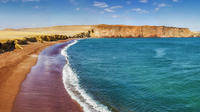 Private Tour to Paracas Reserve