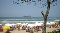 Private Tour: Coffee and Beaches Day Trip from São Paulo