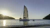 Sunset Catamaran  Sailing at Flamingo Beach