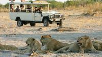 Chobe National Park Camping Safari 2-Days 1 night