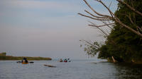 Nemunas River Delta Kayak Tour From Klaipeda