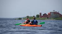 Nemunas River Delta Kayak Tour From Klaipeda