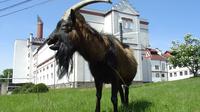 Visiter un Brewery avec un Brewmaster et explorer la campagne