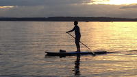 90 Minute Beginner SUP lesson