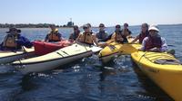 Discovery Point Kayak Tour