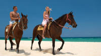 Cozumel Beach Horseback Riding Tour