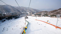 Snow Trip From Seoul 