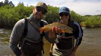 Denver Fly Fishing Wade Trip