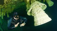 Diving in Cenote Zapote for Experienced Divers 