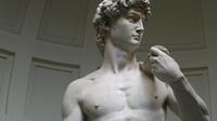 The Accademia Gallery and Michelangelo's David Ticket