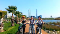 Santiago Bike Tour with Sky Costanera Center 