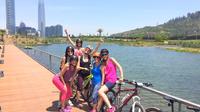 Small Group Santiago Panoramic Bike Tour