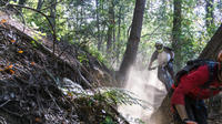 Mt Wilson Private Full Day Mountain Biking Tour and Shuttle