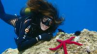 Scuba Diving in Split