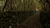 Hiking in the Azores Islands