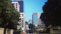 Wellington Central City Walking Tour