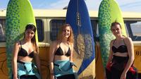 Introduction to Surfing Course in Cabrera de Mar