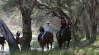 Neergabby Horse Riding Tour