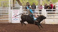 Colorado Springs Rodeo