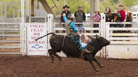 Colorado Springs Western Wednesday Rodeo