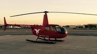 Private Helicopter Tour of Downtown Los Angeles from Long Beach