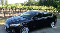 Private Transfer: Silicon Valley to San Francisco International Airport