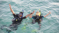 2 Dives Packages with Transfers in Tenerife