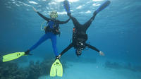 PADI Peak Performance Buoyancy Specialty Scuba Dive in Tenerife
