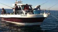 Deep Sea Fishing in Sesimbra Coast 