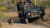 Sabi Sand Sunset Safari de Hazyview