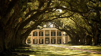 Combo: Oak Alley Plantation and Swamp Boat Tour