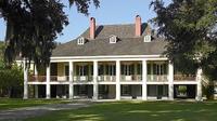 Destrehan Plantation and Swamp Tour Combo