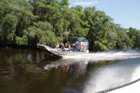 Large Airboat Swamp Tour with Hotel Pickup
