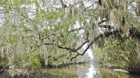 New Orleans Swamp Tour Boat Adventure