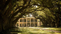 Oak Alley Plantation Tour New Orleans