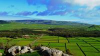 Terceira Van Tour