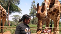 Day Tour: Giraffe Center, Elephant Orphanage and Nairobi National Park