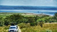 Lake Nakuru National Park with Boat Ride: Private Guided Tour from Nairobi