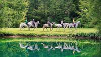 Lipizzaner Horseback Ride Tour from Bled