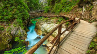 Vintgar Gorge Half Day Self-Guided eBike Trip from Bled