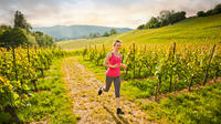 3-Day Trail and Road Running Tour of Sonoma Wine Country