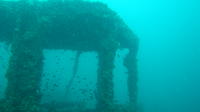 Dykkertur fra Phuket til King Cruiser-vraget Dykkertur fra Phuket til King Cruiser-vraget